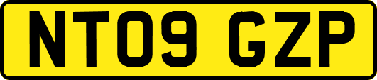 NT09GZP