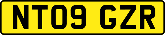 NT09GZR