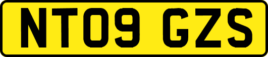 NT09GZS