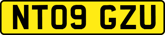 NT09GZU