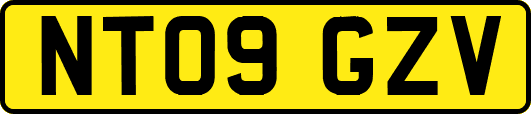 NT09GZV