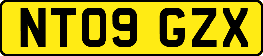 NT09GZX