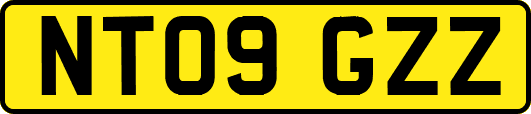 NT09GZZ