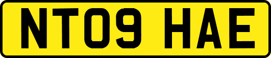 NT09HAE