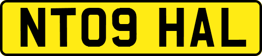 NT09HAL
