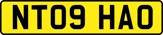 NT09HAO