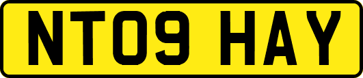 NT09HAY