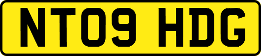 NT09HDG