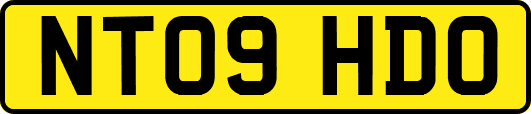 NT09HDO
