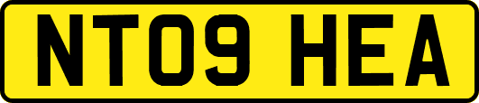 NT09HEA
