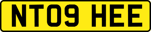NT09HEE