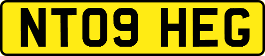 NT09HEG