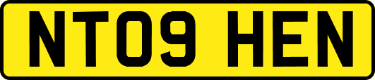 NT09HEN