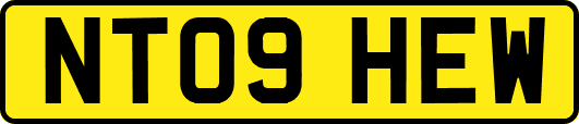 NT09HEW