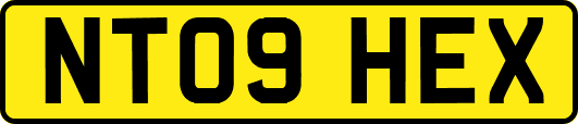 NT09HEX