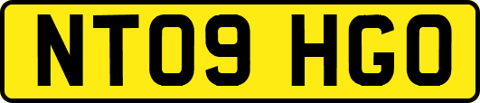 NT09HGO