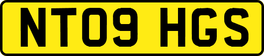 NT09HGS
