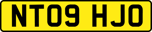 NT09HJO