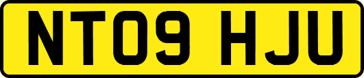 NT09HJU