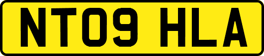 NT09HLA