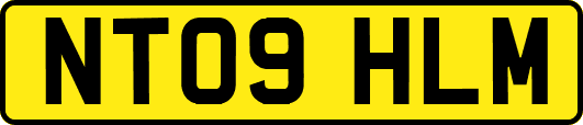 NT09HLM