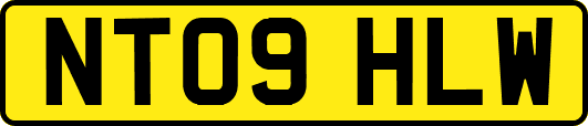 NT09HLW