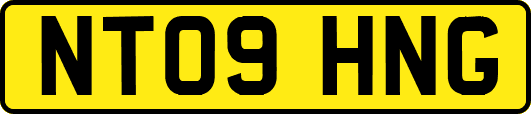 NT09HNG