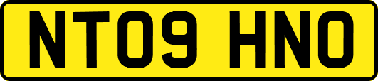 NT09HNO