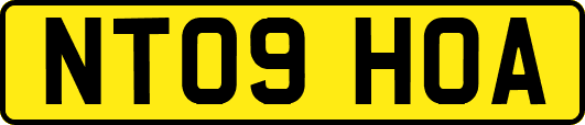 NT09HOA