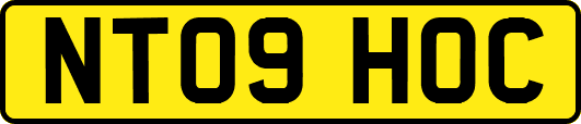 NT09HOC