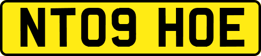 NT09HOE