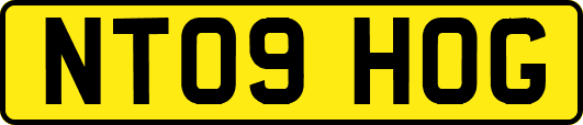 NT09HOG