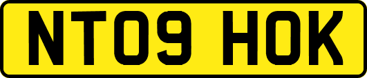 NT09HOK