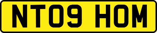 NT09HOM