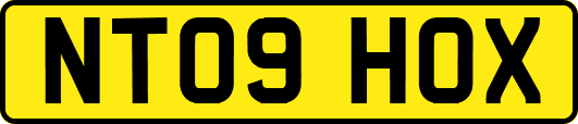 NT09HOX