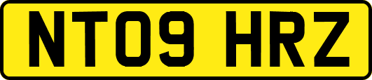 NT09HRZ