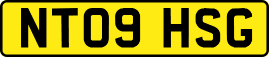 NT09HSG