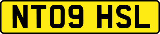 NT09HSL