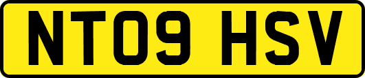 NT09HSV