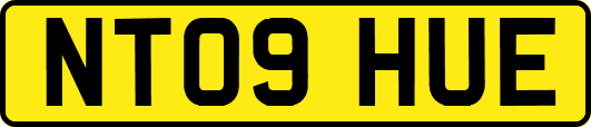 NT09HUE