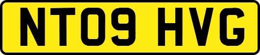 NT09HVG