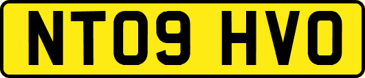 NT09HVO