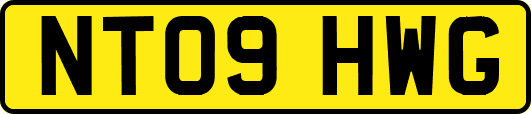 NT09HWG