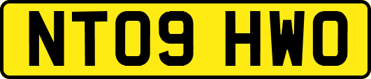 NT09HWO