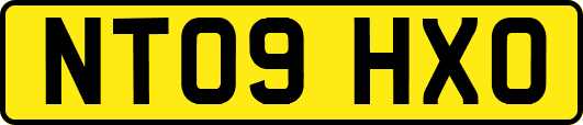 NT09HXO