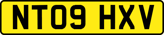 NT09HXV