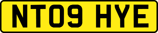 NT09HYE