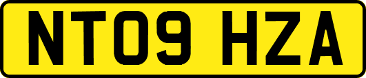 NT09HZA