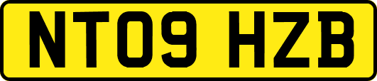 NT09HZB