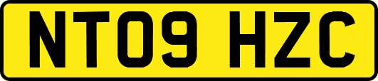 NT09HZC